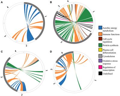Pareto task inference analysis reveals cellular trade-offs in diffuse large B-Cell lymphoma transcriptomic data